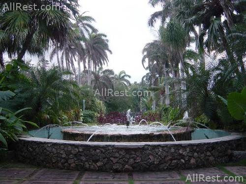 Couples Ocho Rios 15